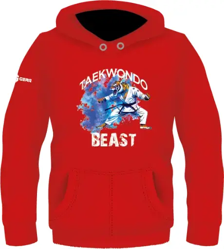 Толстовка мужская  Худи Taekwondo